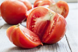 Tall paradajka "Adam F1" - 64 semien - Lycopersicon esculentum Mill  - semená