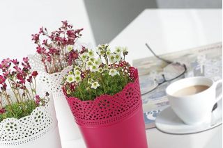 Apvalus gėlių vazonas su nėriniais - 16 cm - Nėriniai - Rapsberry - 