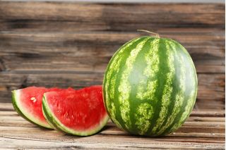 Vattenmelon - Mini Love - 5 frön - Citrullus lanatus