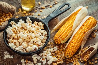 Corn "Flame" - för popcorn - 100 frön - Zea mays ssp. Everta