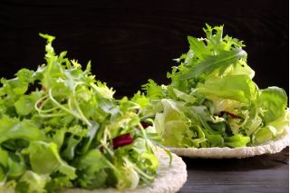 Baby Leaf - Italianische Salatmischung