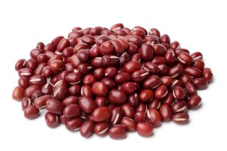 发芽种子 - 红豆 -  550粒种子 - Vigna angularis - 種子