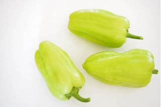 Pepper "Zorza" - sladký - 65 semien - Capsicum L. - semená