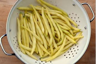 الفاصوليا الفرنسية "Elektra" - الأصفر ، متنوعة القزم - Phaseolus vulgaris L. - ابذرة