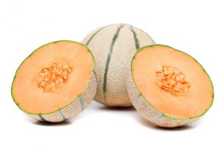 Melone - Bosman - Cucumis melo L. - sēklas