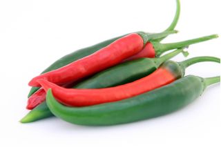 Bell pepper "Westlandia" - hot