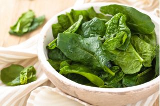 Malabar spinach, vine spinach, red vine spinach, climbing spinach, Buffalo spinach, Ceylon spinach