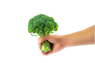 Brokoli "Sebastian" - ilkbahar ve sonbahar yetiştiriciliği için erken çeşitlilik - 300 tohum - Brassica oleracea L. var. italica Plenck - tohumlar