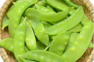 BIO  - 田间糖豌豆“Norli” - 经过认证的有机种子 -  - 種子