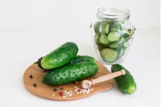 2 in 1 - Field pickling cucumber "Odys" and dill - SEED TAPE