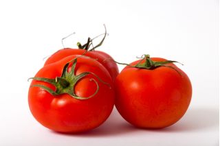 گوجه فرنگی "Ikarus" - تنوع گونه های زودرس مقاوم در برابر تغییر شرایط آب و هوایی - Lycopersicon esculentum Mill  - دانه