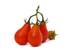 Tomato "Radana" - berbentuk pir, buah koktail - Lycopersicon esculentum  - benih