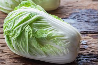 Napa cabbage "Forco F1" - early variety for all-year cultivation - 215 seeds