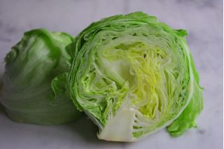 Iceberg salad "Doree de Printemps" - tajam, kepala besar - 400 biji - Lactuca sativa L.  - benih