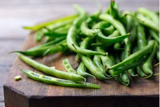 Green French bean "Fineness" - extremely resistant to diseases