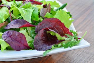 Baby Leaf - amestec de salată - Lectuca sativa  - semințe