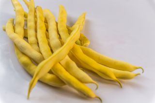 Yellow French bean "Neckargold" - needs staking - 20 seeds