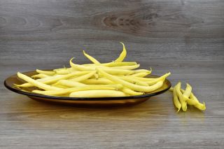 Kacang Prancis kerdil kuning "Luiza" - produktif dan tahan - Phaseolus vulgaris L. - biji