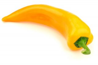 胡椒“ Ornela”-黄色，甜种 - 