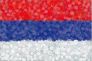 پرچم صربستان - دانه های 3 گونه - 