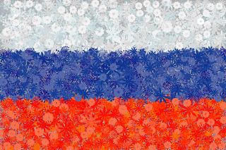 러시아 국기 - 3 종의 종자 -  - 씨앗