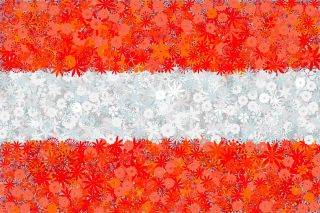 Bandeira austríaca - sementes de 3 espécies de plantas com flores - 