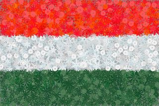 Ουγγρική σημαία - σπόροι από 3 ποικιλίες - 