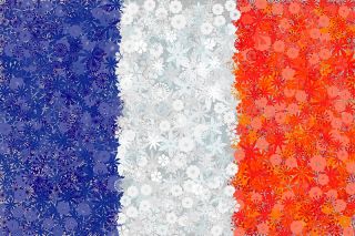 Ranskan lippu - 3 lajikkeen siemeniä -  - siemenet