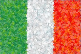 Bandeira Italiana - sementes de 3 variedades de plantas com flores - 