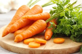Carrot "Aron F1" - early variety - 4250 seeds