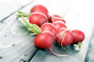 Ředkvička "Cherry Belle" - Výsevní pásky - Raphanus sativus L. - semena
