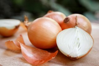 BIO Onion - certificirano ekološko seme - Allium cepa L. - semena
