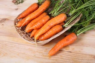 Carrot 'Drako' - medium early, vividly orange with high carotene content