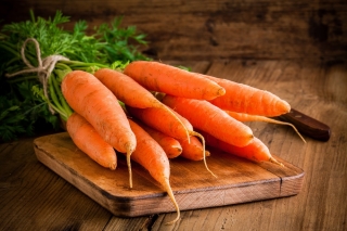 Carrot "Olympus" - COATED SEEDS