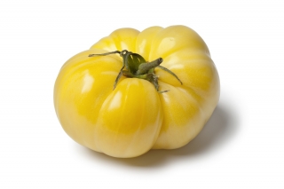 토마토 "백색 아름다움"- 분야, 백색 다양성 - Solanum lycopersicum  - 씨앗