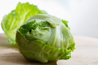 Jenis Jenis Selada Lettuce Judul Situs