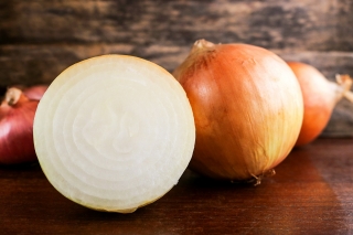 Onion "Torunianka" - thrives in difficult conditions, ideal for long-time storage