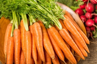 Морков "Арлета" - изключително продуктивен сорт, идеален за сокове - 4250 семена - Daucus carota ssp. sativus 