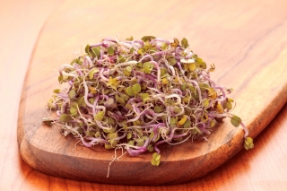 Sprouting seeds - Radish CHINA ROSE - 100 g