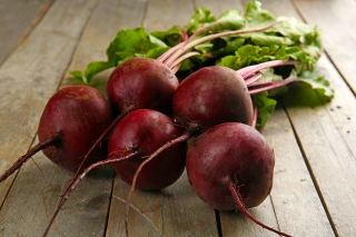 Beetroot "Patryk" - COATED SEEDS
