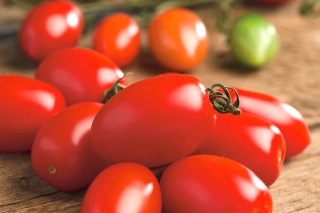 Tomat "Sheikh" - varietas lapangan yang menghasilkan buah silinder dengan daging yang sangat kencang - Lycopersicon esculentum Mill  - biji