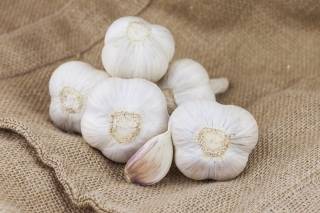 Winter garlic Ornak - 12 bulb (0,72 - 1,20 kg)