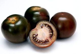 עגבניות שחור זרעי דובדבן - Lycopersicon esculentum - 60 זרעים - Lycopersicon esculentum Mill 