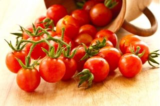 Biji tomat Idyll - Lycopersicon lycopersicum - 80 biji - Lycopersicon esculentum Mill 