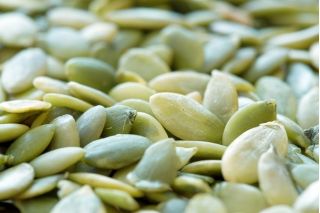 Semințe de dovleac Miranda - Cucurbita pepo - 40 de semințe
