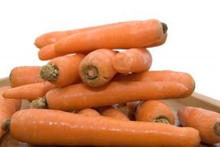 Carrot "Karotela" - early variety - 4250 seeds