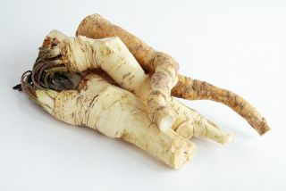 Horseradish - Armouracia rusticana - bebawang / umbi / akar - Armoracia rusticana