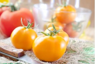 Pomidoras -Golden Ozarowski - 80 sėklos - Lycopersicon esculentum Mill