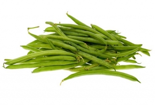 Harilik aeduba - Processor - Phaseolus vulgaris L. - seemned