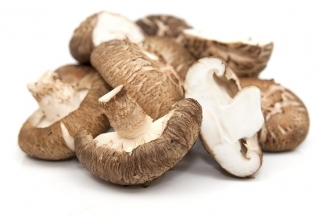 香菇 - 长寿蘑菇;锯齿橡木蘑菇，黑森林蘑菇，黑蘑菇，金色橡木蘑菇，橡木蘑菇  - Lentinula edodes